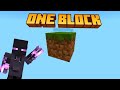 Minecraft ONE BLOCK Series [part:1]