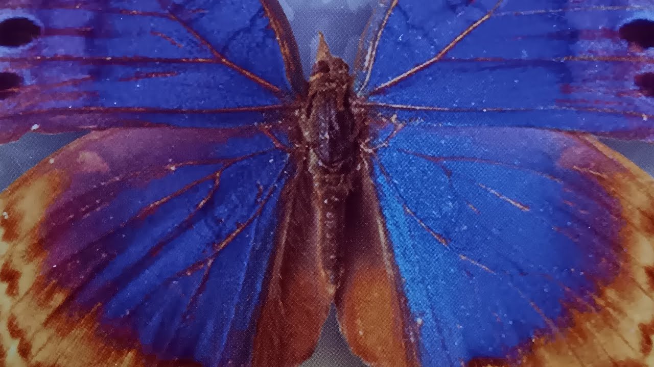 Angels Say A #transformation Is Upon You 