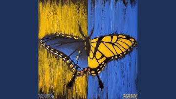 Stranger In My Own House