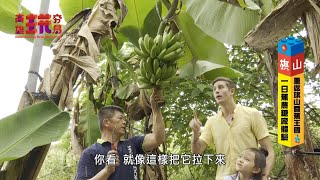 【高雄旗山】重返旗山香蕉王國！一日蕉農糖廠體驗、大旗美農村 ... 