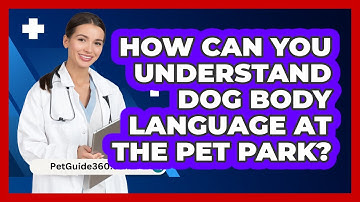 How Can You Understand Dog Body Language At The Pet Park? - PetGuide360.com