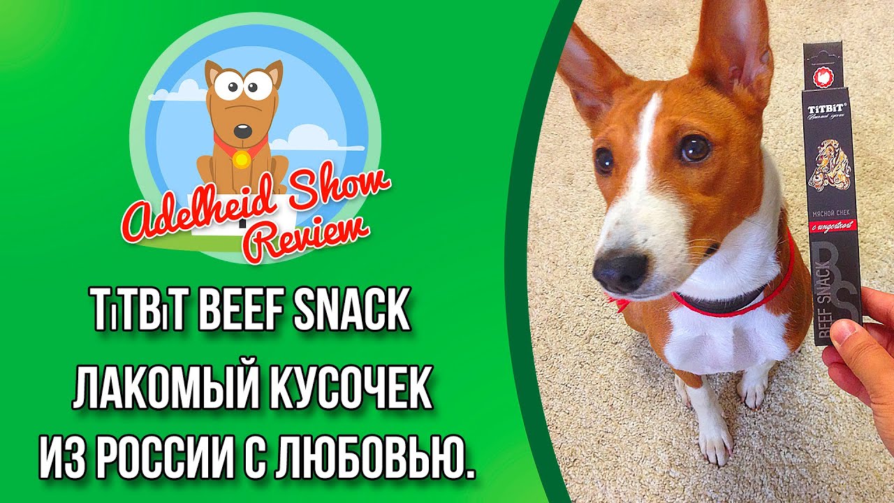 TiTBiT Beef Snack | Мясные кусочки с индейкой | Обзор Снеков для Собак