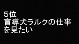 探偵ナイトスクープ レイテ島からの手紙まとめ Youtube