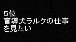 探偵ナイトスクープ レイテ島からの手紙まとめ Youtube