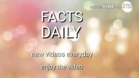 10 WTF FUN FACTS #1
