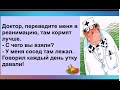 НАРКОЗ - средство защиты ХИРУРГА от советов ПАЦИЕНТА  во время операции. Юмор о медицине и врачах