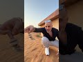 الدساس فى القريه المهجوره الفيديو كامل موجود على القناه 