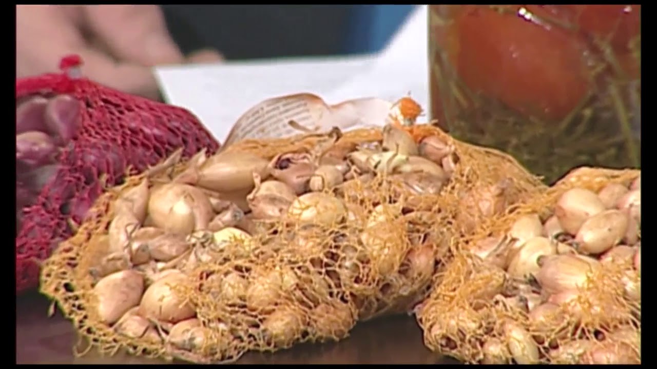 Воронежский агроном Иван Бабин рассказал о помидорах черри - YouTube