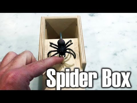 scaring-people-with-the-spider-box