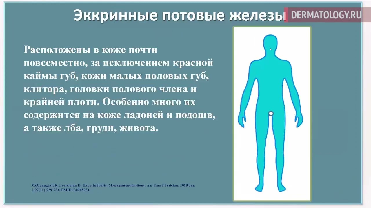 Гипергидроз – проблемы и решения