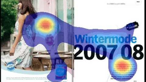 Een Viva-spread nader bekeken