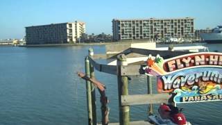 VID00991