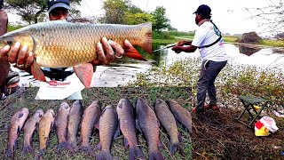 Amazing Singal Hook Fishing Videos | Big Rohu fish in Singal Hook Fishing | Fishing Bhait Fishing