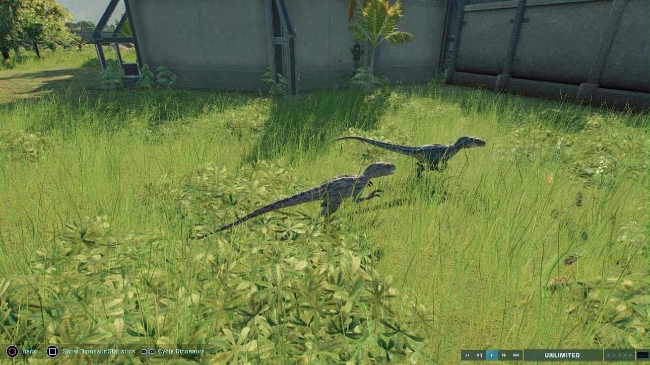 Gerald and Jeremy the raptor friends - YouTube