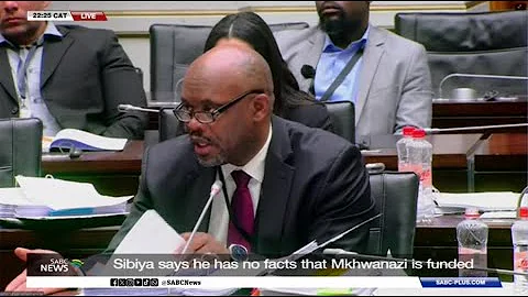 Ad Hoc Committee | I was already on suspension: Lt-General Sibiya