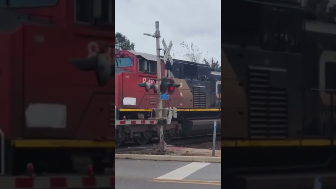 Canadian National Intermodal Blasting North Across the West Chicago Railroad Diamond