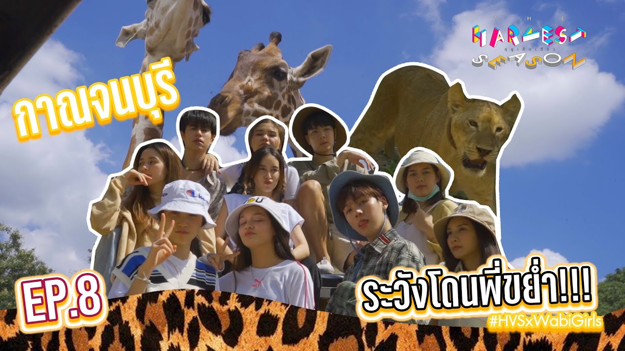 พาสาวๆบุกตลุย Safari Park กาญจนบุรี | The Harvest Season ฤดูเก็บเที่ยว EP.8 | Studio Wabi Sabi