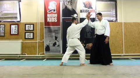 aihanmi katatedori nikyo omote [TUTORIAL] Aikido empty hand basic technique: