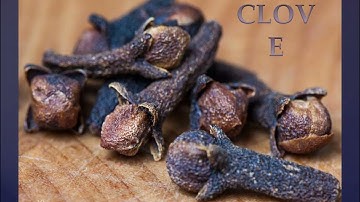 SPICY RIDDLES CLASS 4 EVS CHAPTER 25