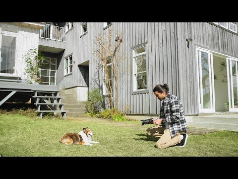 Real-time Eye AF for Animals | From a pet's point-of-view | Sony | α