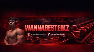 stetik talkz