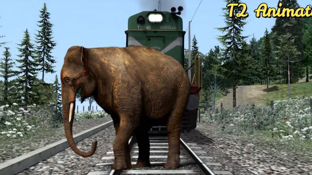 crazy elephant stops the train