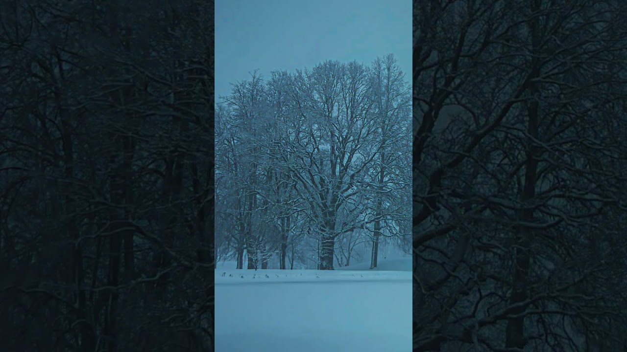 Pond Maintenance Tips Part 5