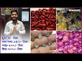 Paul gems               red coral gemstone price