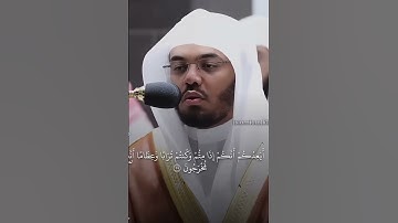 سورة المؤمنون( اية34 الى37)الشيخ ياسر الدوسري