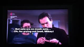 My Family - Ben mistakes a spider for a cat @Eriecartel