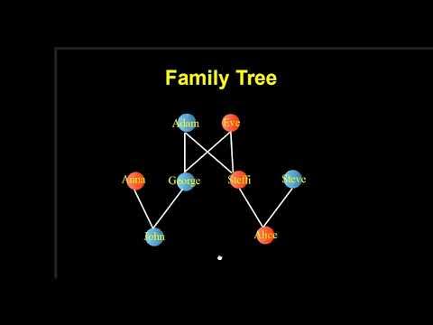 Practical - 2 Family Tree - YouTube