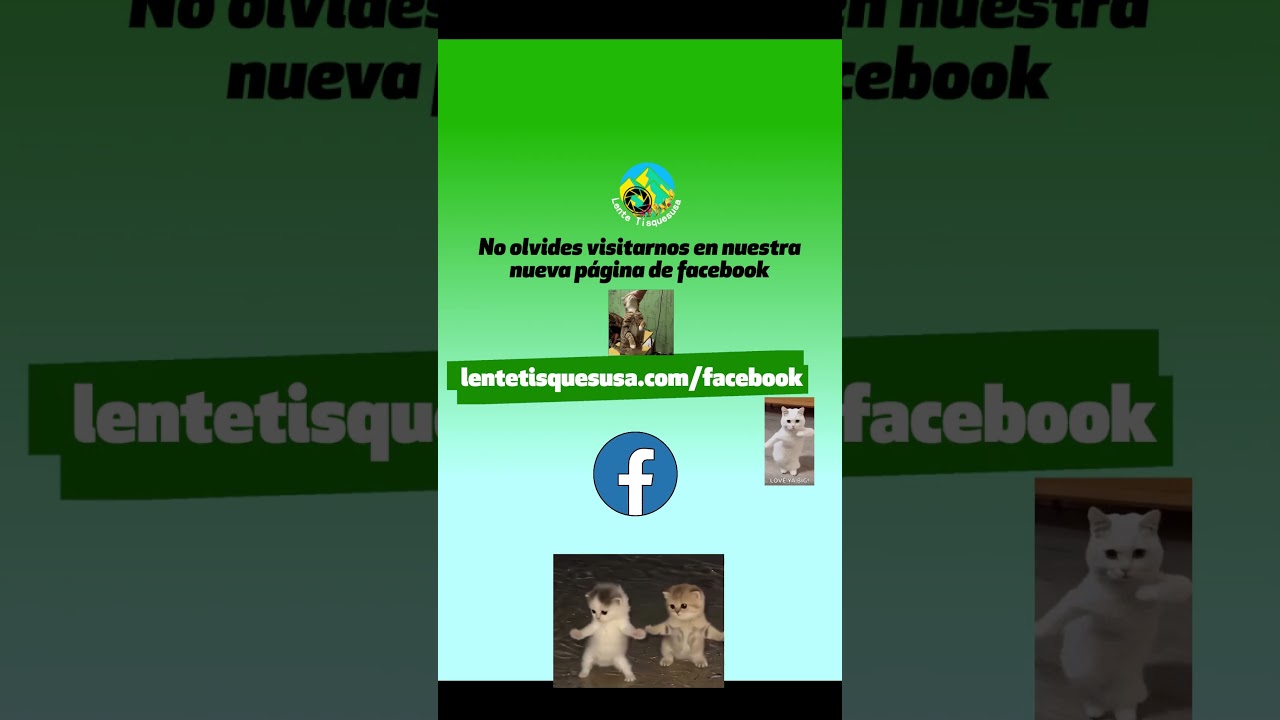 Siguenos en nuestra nueva página de facebook para ver todas nuestras actualizaciones y contenido 📰