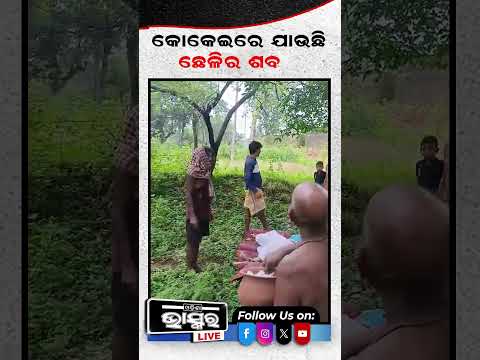 ଛେଳି ଗଲା କୋକେଇରେ #odishabhaskar #latestnews #Sambalpur