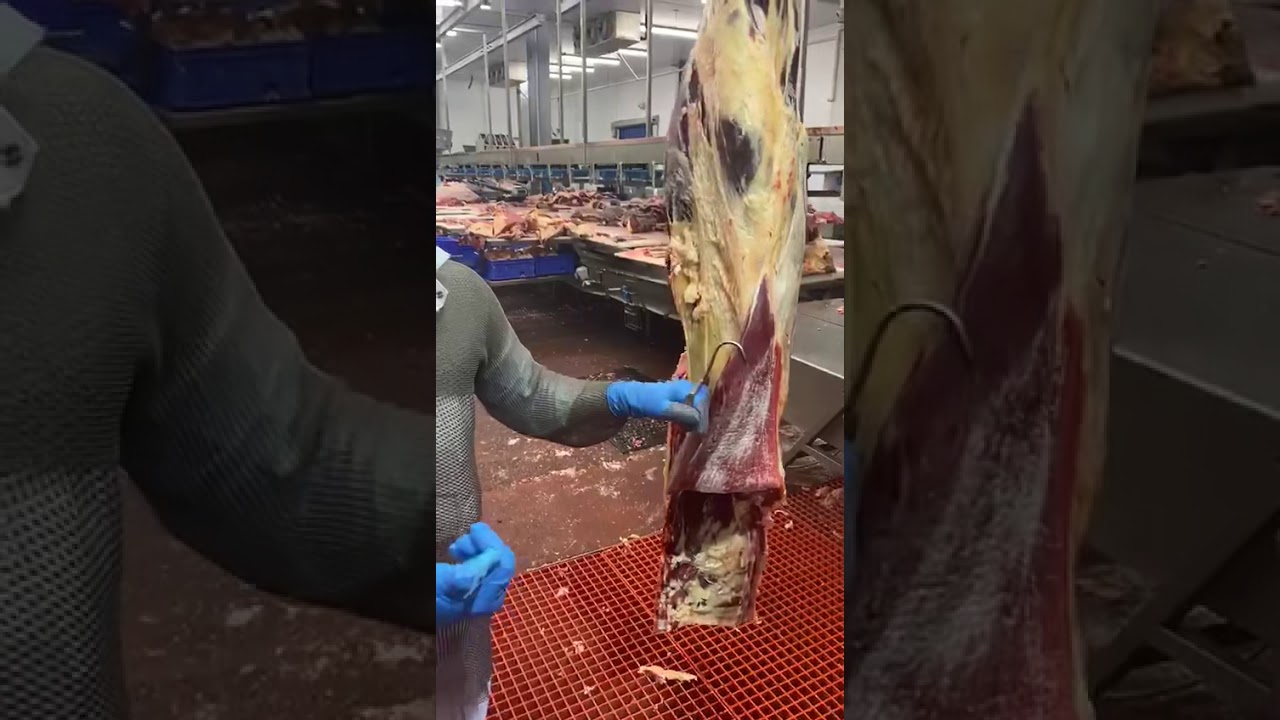 Como DESTACAR contra filé  e RETIRAR o osso da alcatra