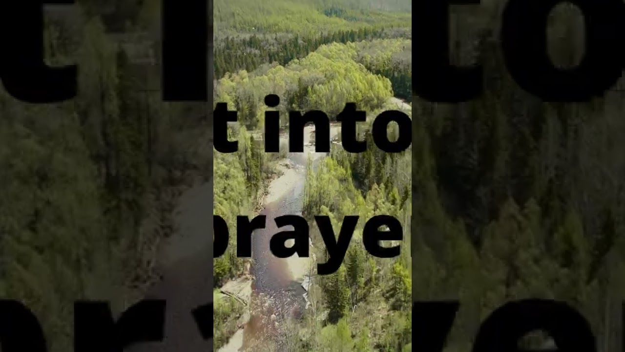 Trusting in the Lord 