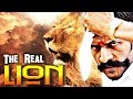 The Real Lion (2017) Latest South Indian Full Hindi Dubbed Movie | New Released 2017 Action Movie