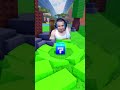 #roblox #noob #minecraft #pro #funny #gaming #hacker #games#brainrot #robloxgames #memes #robloxmeme