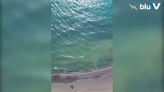 Plazhi I Semanit, Destinacioni Surprizë I Kësaj Vere