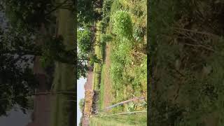 new block hamara kheti 🙂.#TechBlogger#YouTubeTech#HighTech#GadgetReview#TechTrends#AItechnology