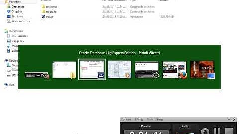 Como instalar administrador de base de datos de oracle (Oracle Database 11g Express)