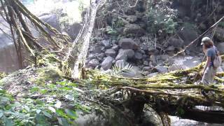 The Meghalaya Living Bridges
