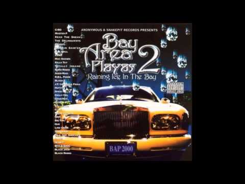 Various – Bay Area Playas 2 - Raining Ice In The Bay