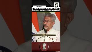 "Indo-Pacific to become a big energy lifeline": Jaishankar ahead of Quad foreign ministers' meeting