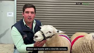 South Australian Texel breeder takes home both champion and reserve at ASWS