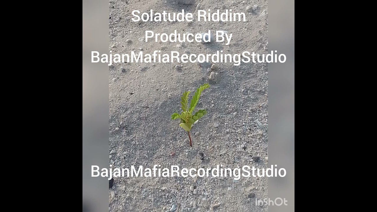 Solatude Riddim - Prod By BajanMafiaRecordingStudio
