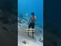 🎁 GIVEAWAY TIME 🎁 Info nel primo commento! #insta360 #insta360x5 #insta360diving #freediving #mare