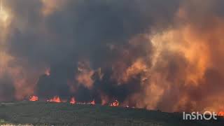 Fuego de la Sierra de la Culebra y de Losacio. Sin palabras, para no olvidar.