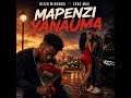 Zero Max Ft Dizo Midundo Mapenzi Yanauma Mpya 