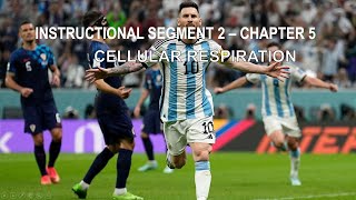 Famous PowerPoint Lecture: Unit 2 Chapter 5 (Cellular Respiration) Profile