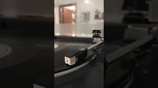 IMG 9512